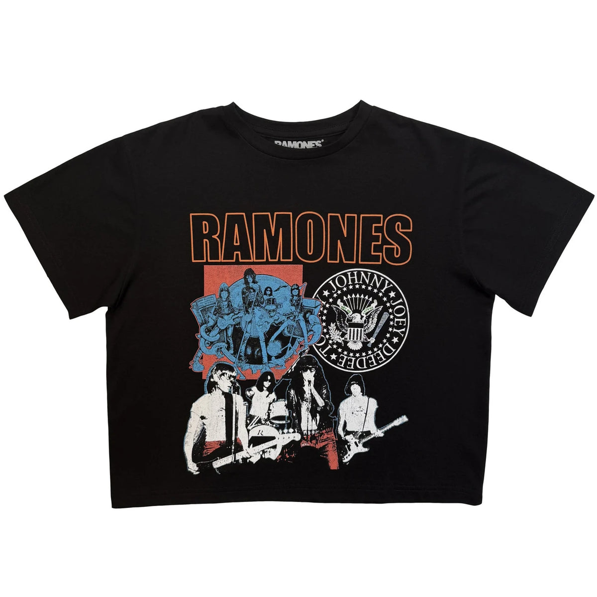 RAMONES Attractive Crop Top, Montage