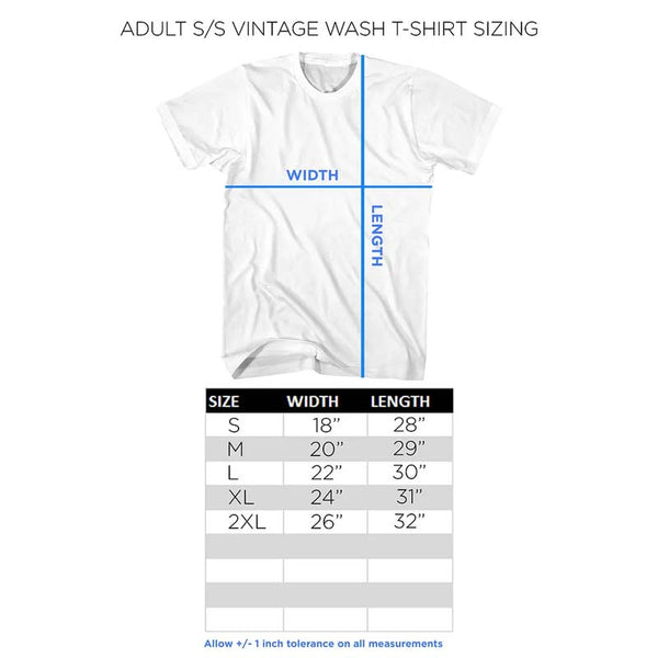 AC/DC Vintage Wash T-Shirt, Back in Black
