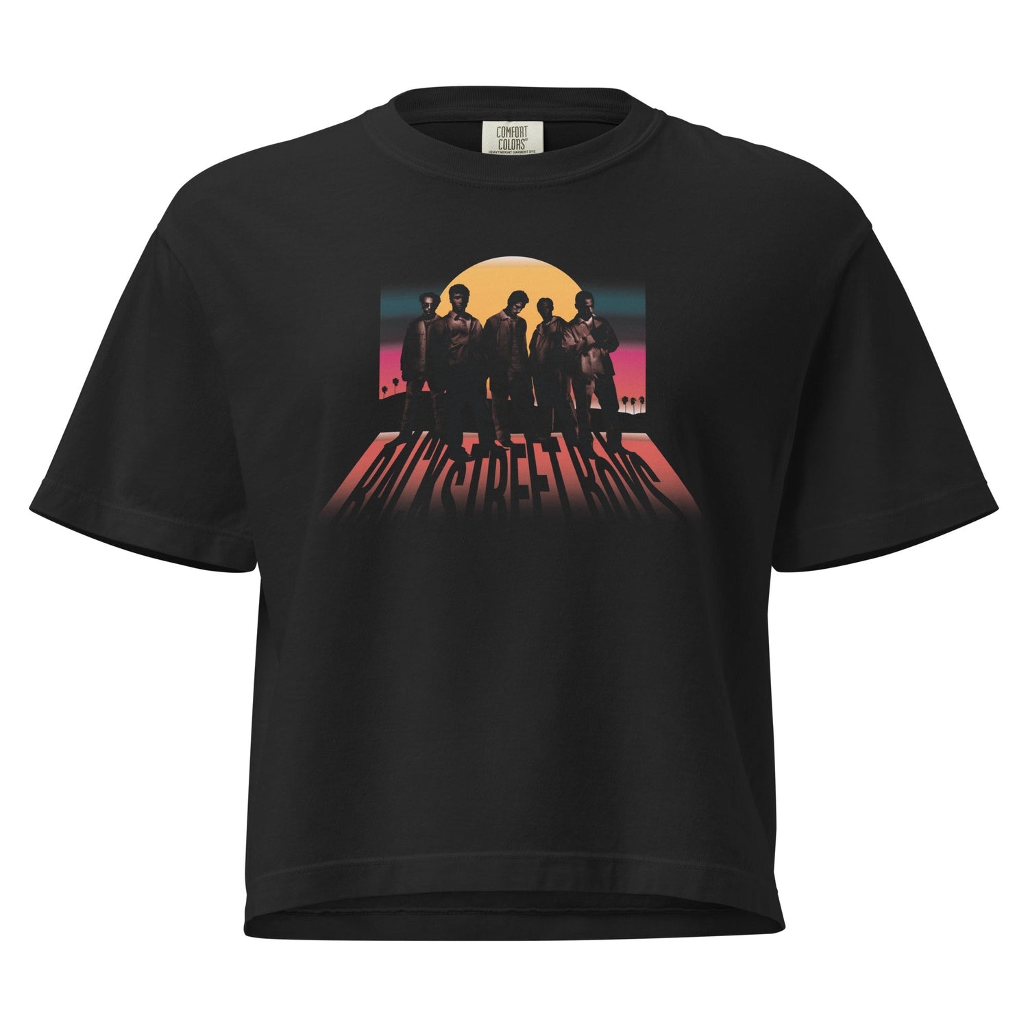 Backstreet Boys Sphere Mineral Wash Womens Crop Top