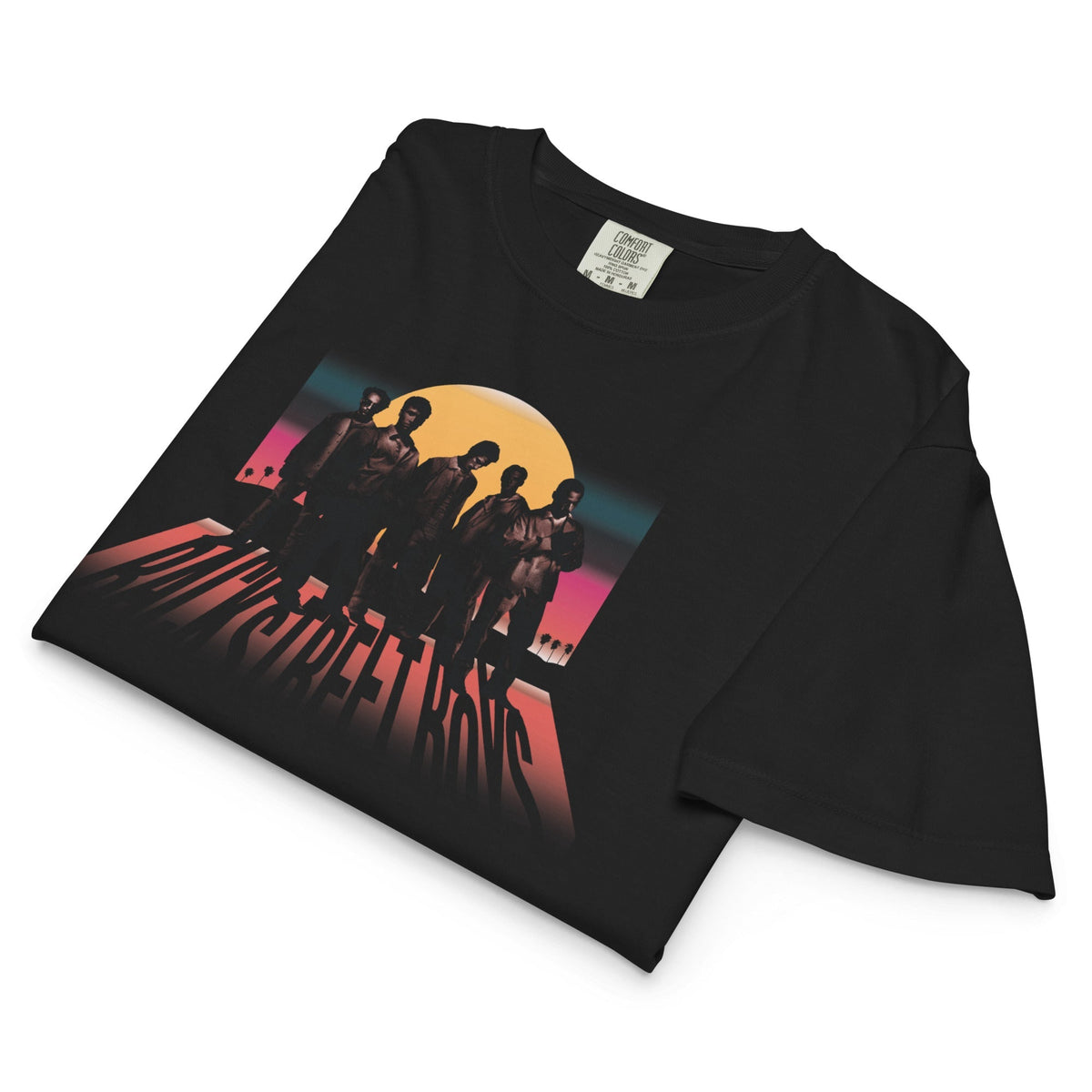 Backstreet Boys Sphere Mineral Wash Womens Crop Top