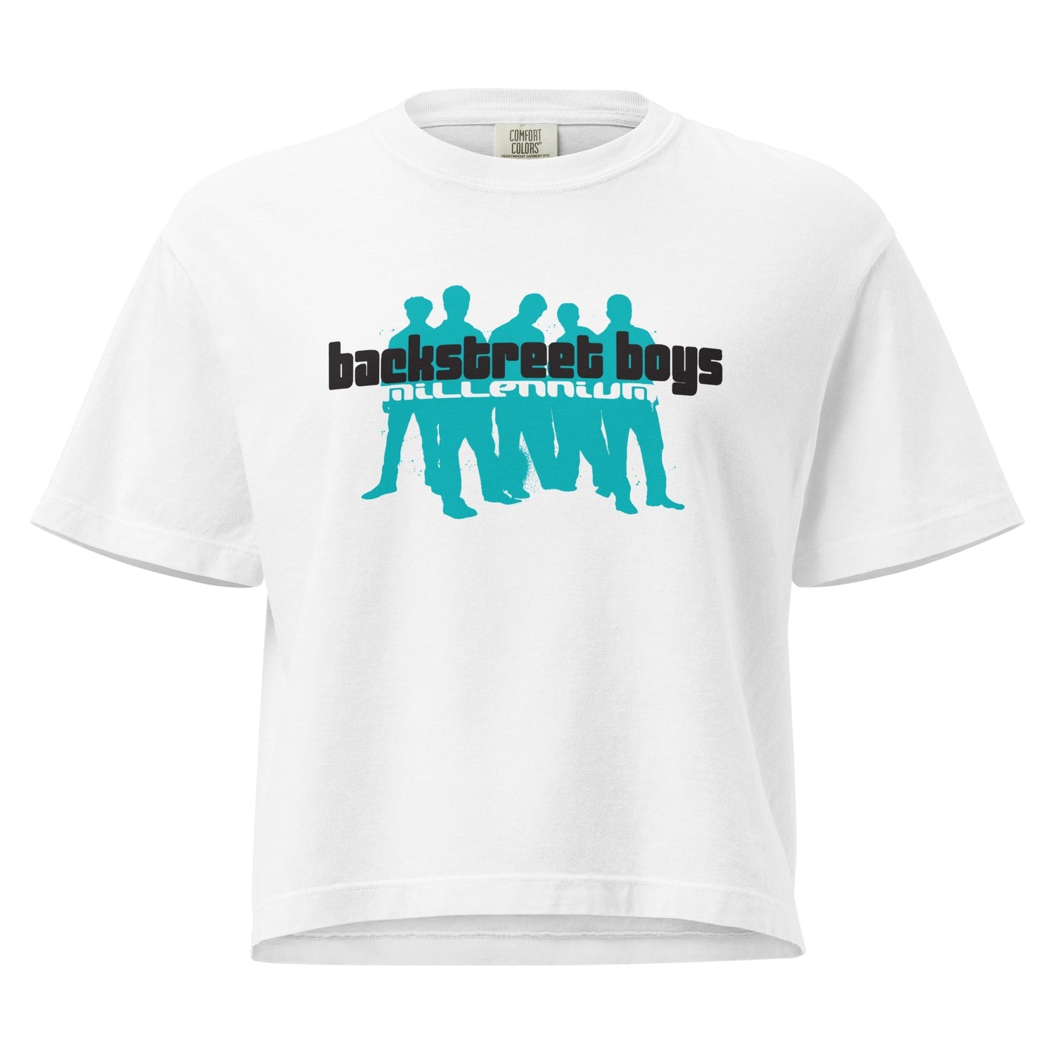 Backstreet Boys Millennium Mineral Wash Womens Crop Top