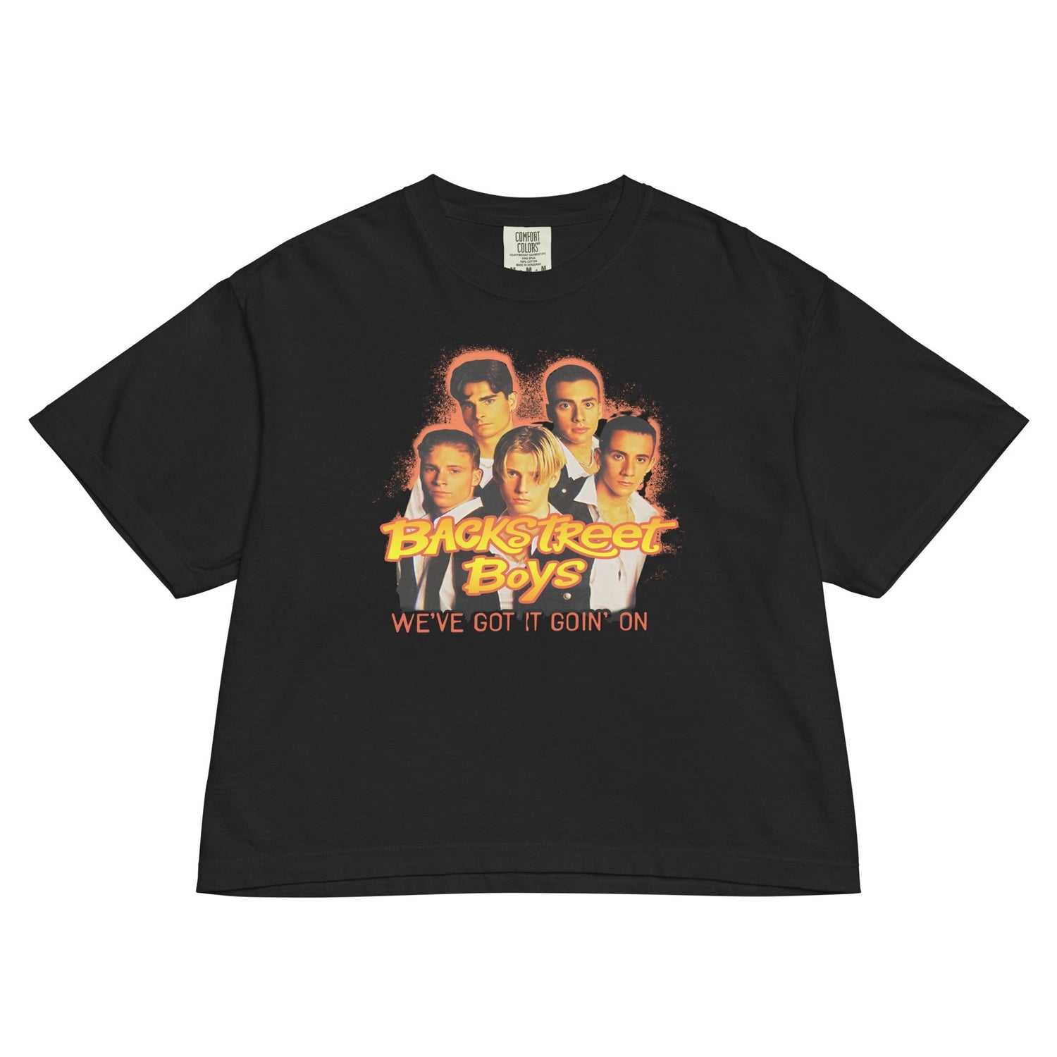 Backstreet Boys Goin On Mineral Wash Womens Crop Top