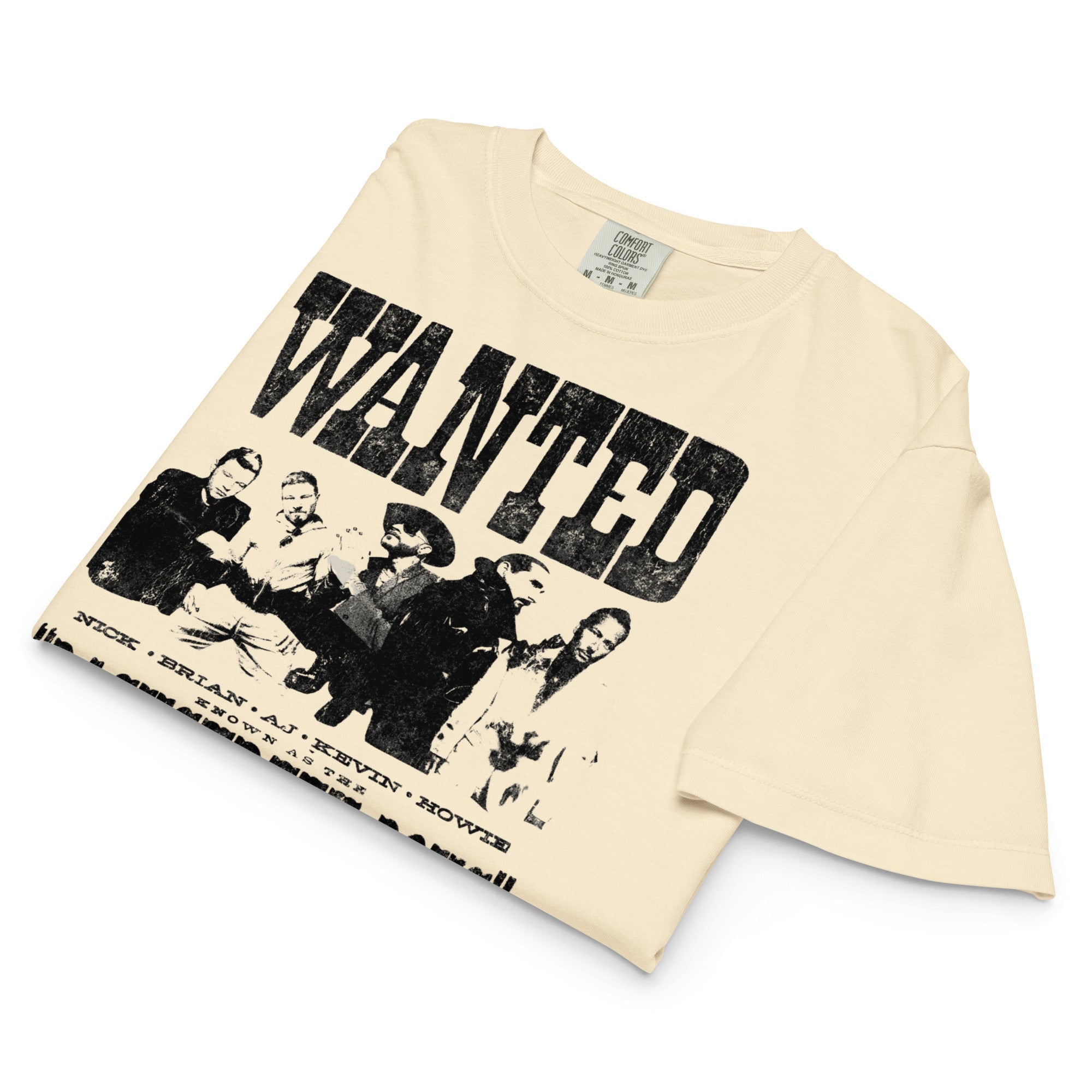 Backstreet Boys Wanted Mineral Wash Womens Crop Top