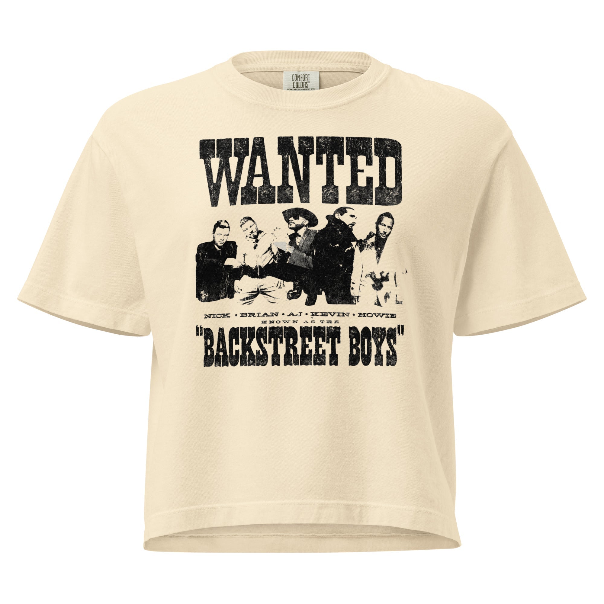 Backstreet Boys Wanted Mineral Wash Womens Crop Top