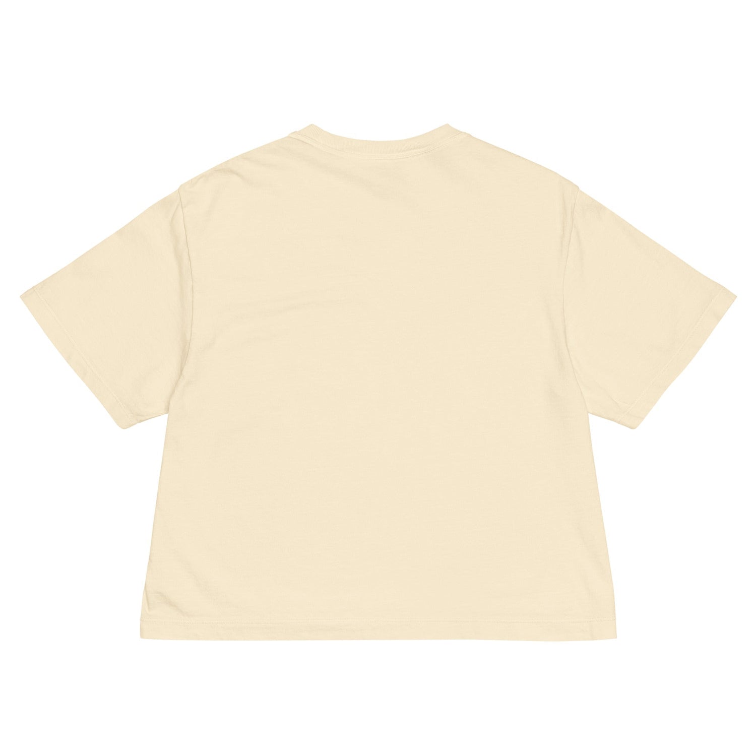 Backstreet Boys Wanted Mineral Wash Womens Crop Top