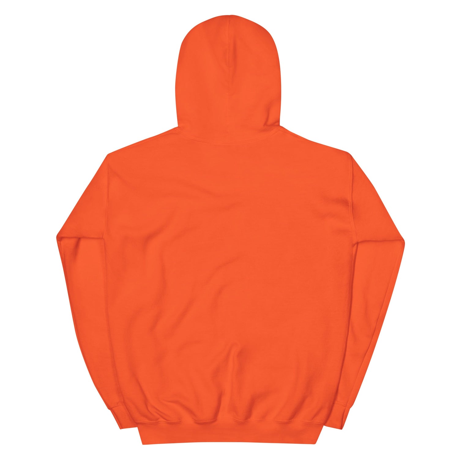 Backstreet Boys Coachella Sunset Hoodie