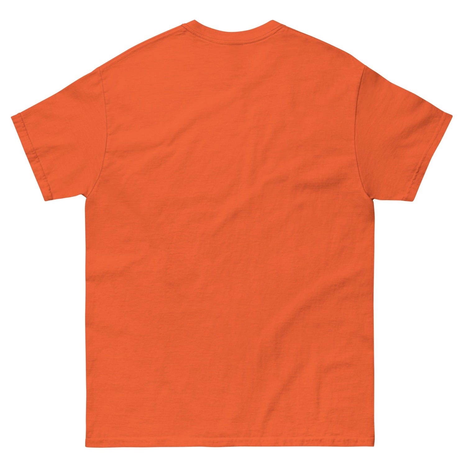 Backstreet Boys Coachella Sunset T-Shirt