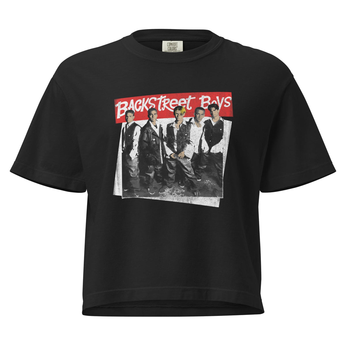 Backstreet Boys Everybody Mineral Wash Womens Crop Top