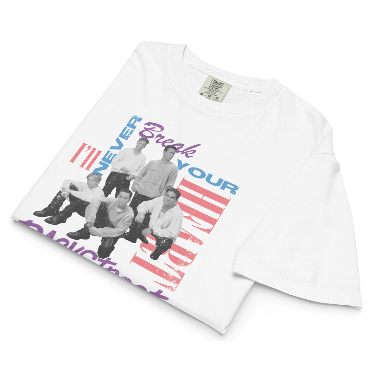 Backstreet Boys Never Break Mineral Wash Womens Crop Top