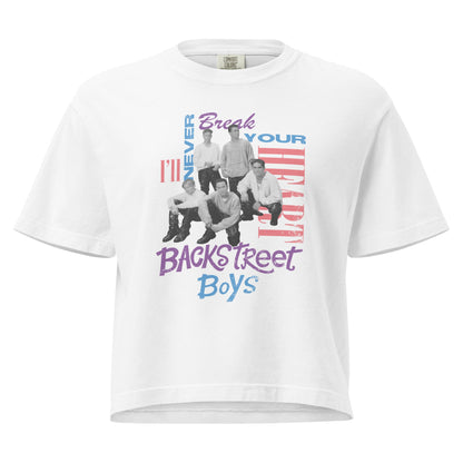 Backstreet Boys Never Break Mineral Wash Womens Crop Top
