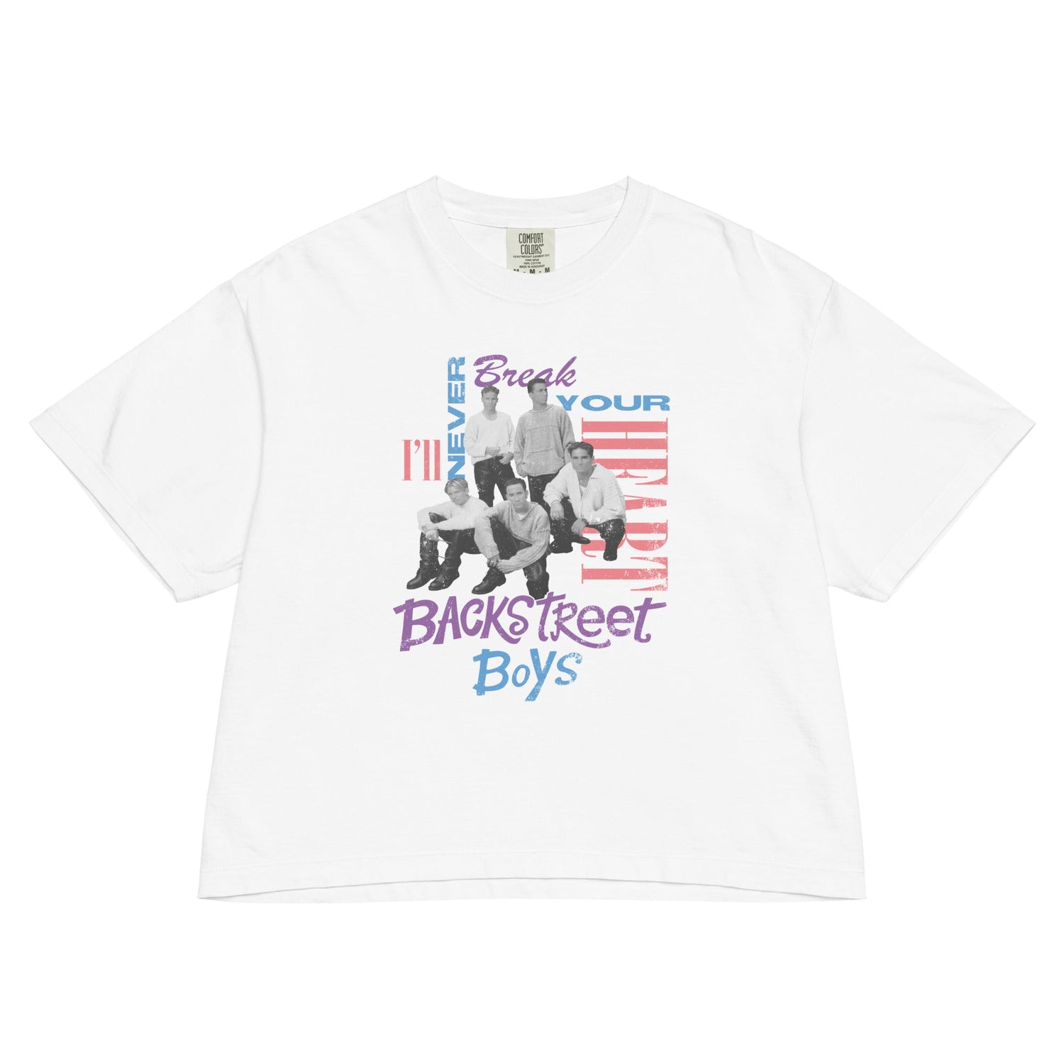 Backstreet Boys Never Break Mineral Wash Womens Crop Top