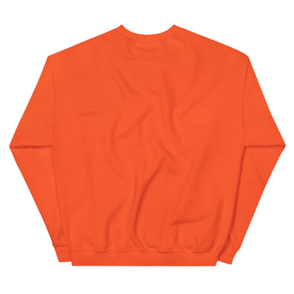 Backstreet Boys Coachella Sunset Sweatshirt