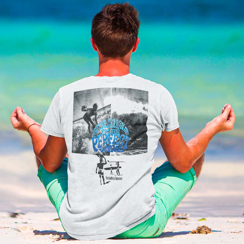 THE ENDLESS SUMMER Eye-Catching T-Shirt, Perfect Wave