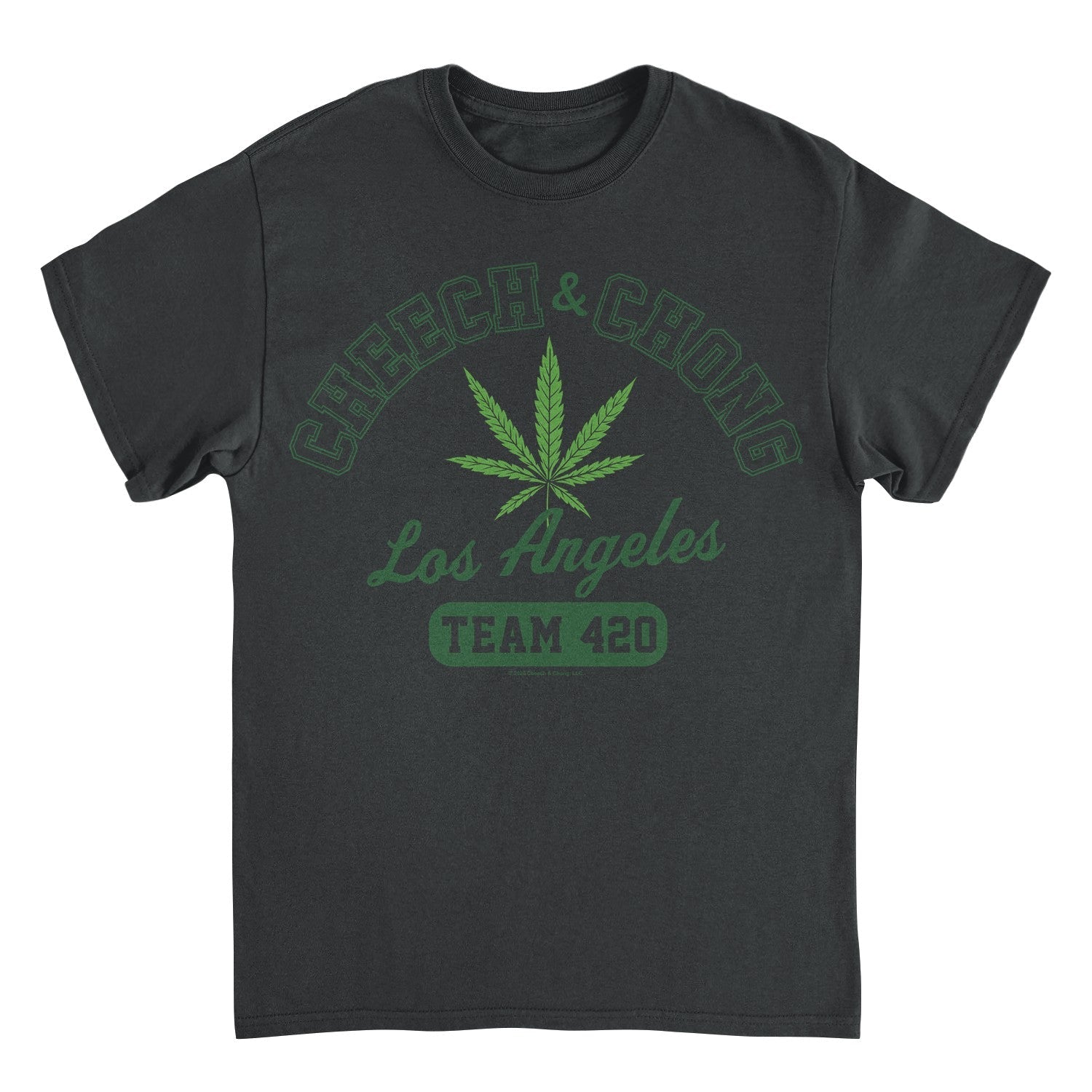 A dark charcoal gray t-shirt with a green graphic print on the front. The design features a cannabis leaf in the center, arched text reading &