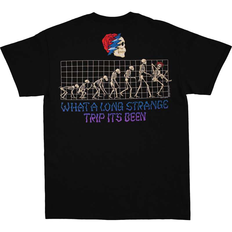 GRATEFUL DEAD T-Shirt, Evolution