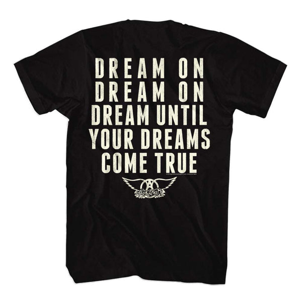 AEROSMITH Eye-Catching T-Shirt, Dream On