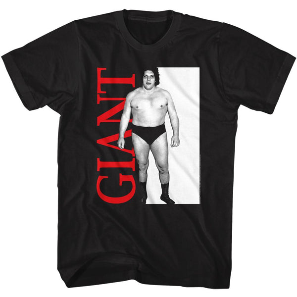 ANDRE THE GIANT Glorious T-Shirt, Andre Giant