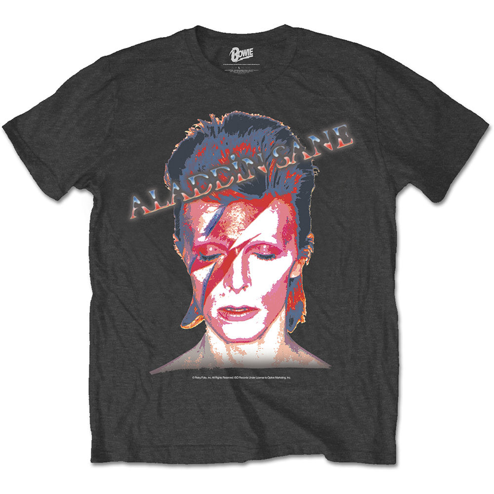 DAVID BOWIE Attractive T-Shirt, Aladdin Sane