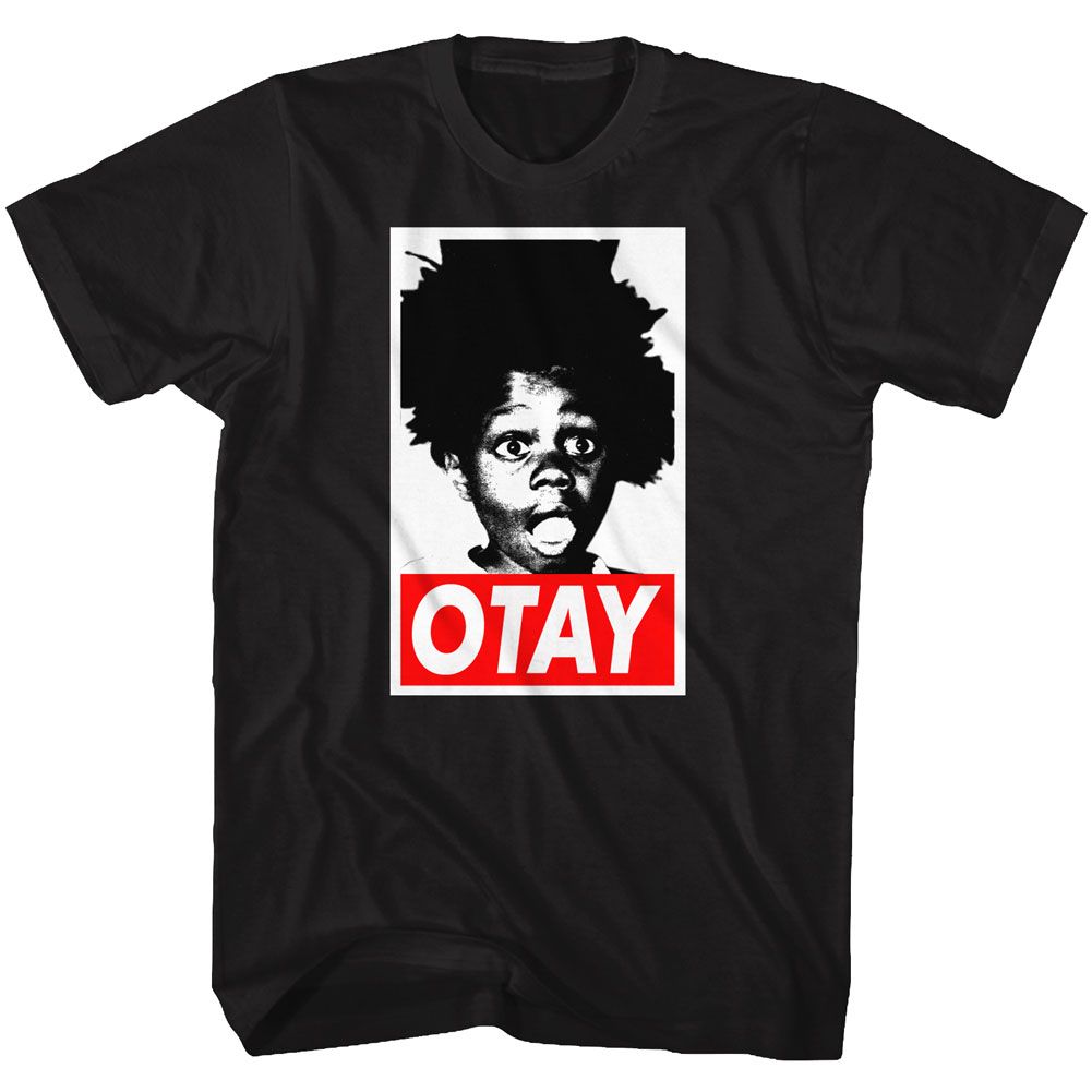 BUCKWHEAT Glorious T-Shirt, Otay