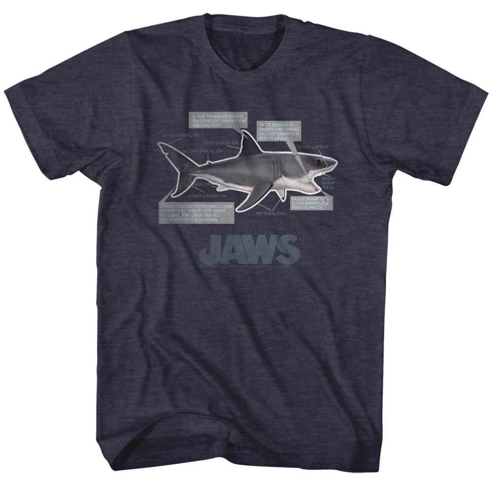 JAWS Eye-Catching T-Shirt, Jaws Anatomy