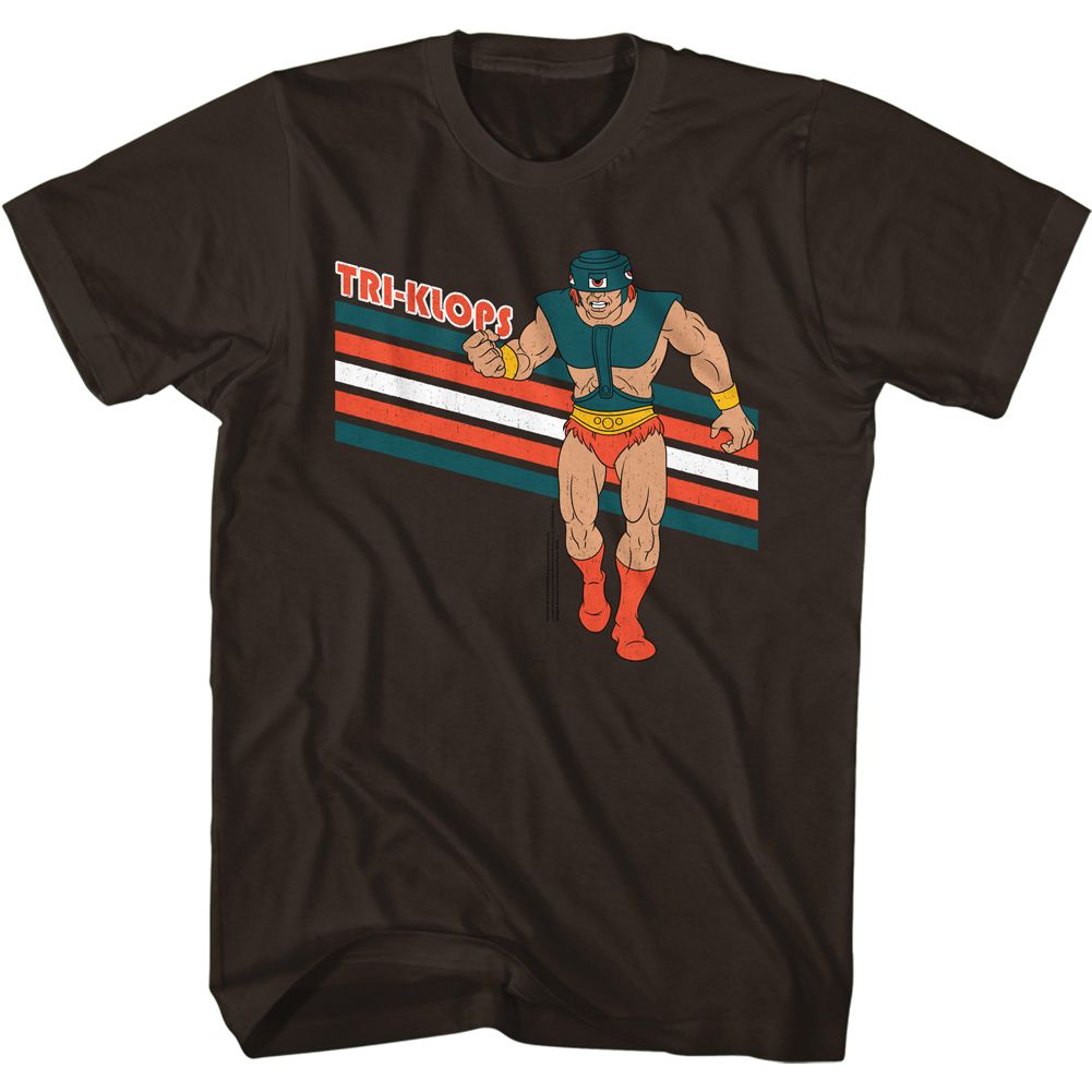 MASTERS OF THE UNIVERSE Famous T-Shirt, Tri