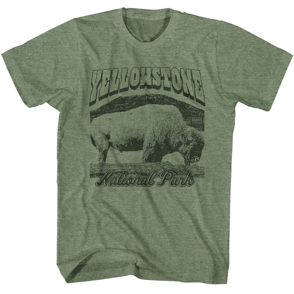 NPCA Eye-Catching T-Shirt, Yellowstone Bison