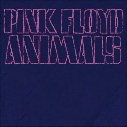 PINK FLOYD Attractive T-Shirt, Awbdg