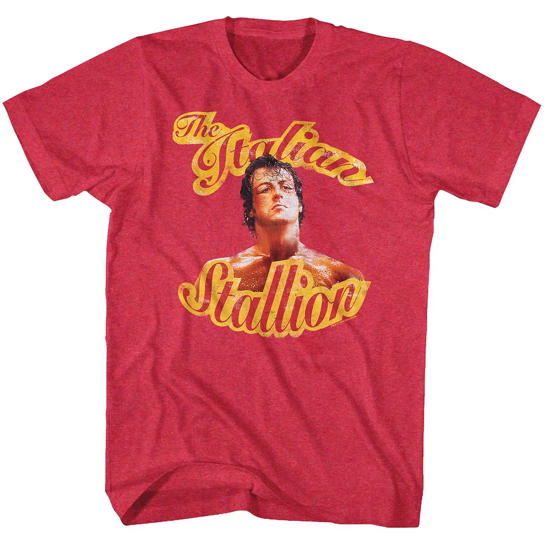 ROCKY Brave T-Shirt, Beaten