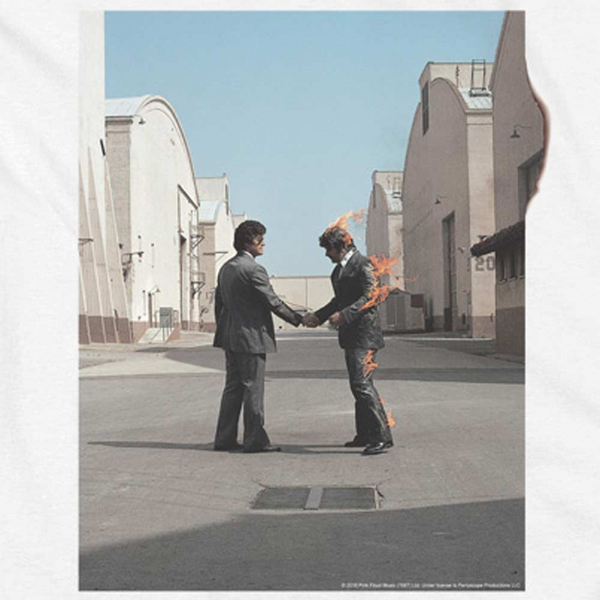 Women Exclusive PINK FLOYD White T-Shirt, Wish You Were Here