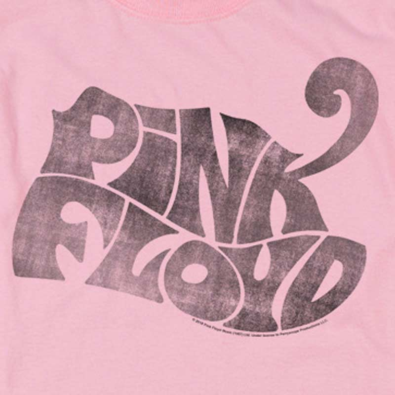 PINK FLOYD T-Shirt, Distressed Logo