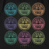 SUN RECORDS Deluxe T-Shirt, Rockin Color Block
