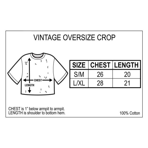 Vintage SONNY & CHER Oversize Crop, Groovy Couple